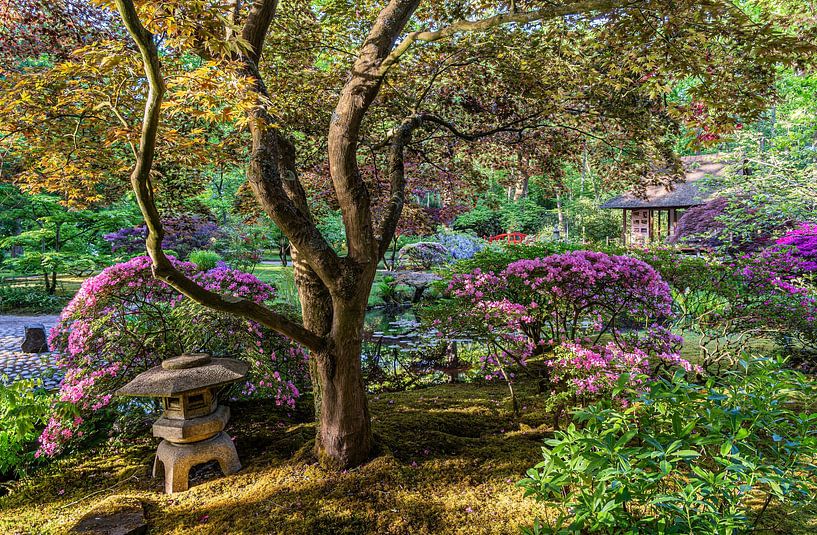 Japanese Garden - Clingendael - The Hague by Jeroen de Jongh Photography