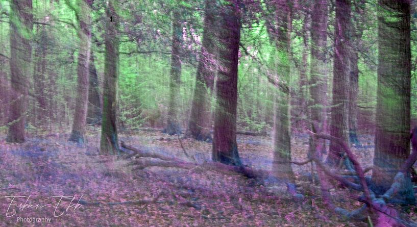 Mystischer Wald von EFFEKTPHOTOGRAPHY.nl
