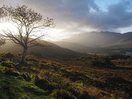 Killarney Ireland by Sanne Bakker