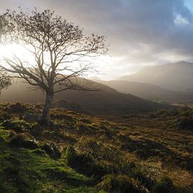 Killarney Ireland by Sanne Bakker