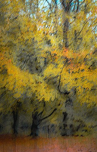 Quintelooijen part 39