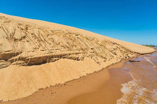 Île de dunes "Las Dunas de San Cosme y Damian" au milieu du Rio Parana près de la