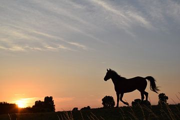 Paard op de dijk tijdens zonsondergang 2 van Anne Hana