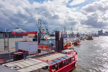 rond de haven van Hamburg van Achim Prill