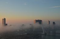 Rotterdam ontwaakt met een mist deken van Marcel van Duinen thumbnail