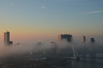 Rotterdam ontwaakt met een mist deken