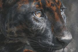 La Panthère Noire en point de mire Le mystère en détail sur Eva Lee