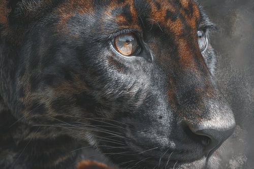 Black Panther in Focus Mystery in Detail