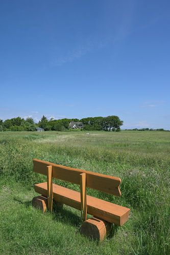 Rustbank bij Westerhever op het schiereiland Eiderstedt,Noord-Friesland,Duitsland