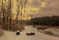 Winterlandschap met gele gloed