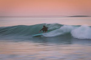 Surf's up!