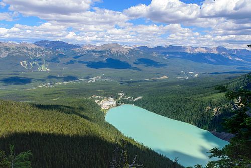 Lake Louise from the Big Beehive - A Heavenly View