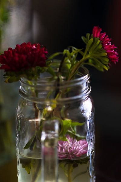 Asters d'été capturés dans un vase n° 3 par Erwin van Eekhout