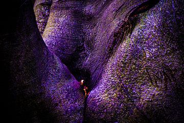 Purple world by Shirley Douwstra