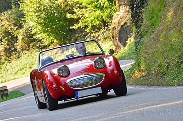 Austin Healey Frogeye Eggberg Classic 2017 Pic3 van Ingo Laue