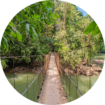 Costa Rica hangbrug van Bianca Kramer