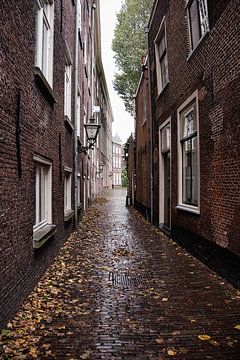 Smalle Hollandse straat in de herfst van Dario En Holanda