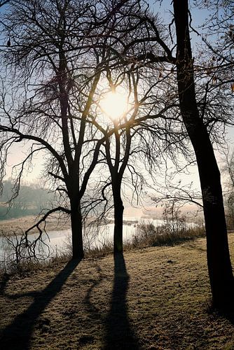 Romantische sfeer in het Rotehornpark aan de oever van de oude Elbe in Maagdenburg