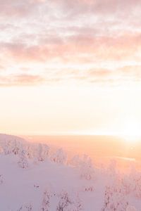 Sonnenaufgang und verschneite Bäume | Reisefotografie Druck | Lappland Finnland