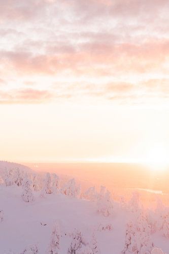 Zonsopgang en besneeuwde bomen | reisfotografie print | Lapland Finland