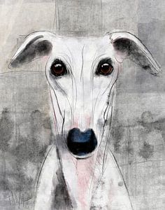 Echo of a quiet gaze