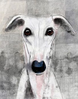 Echo of a quiet gaze