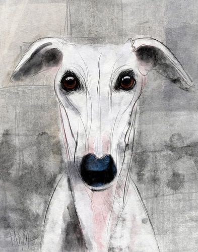 Echo of a quiet gaze