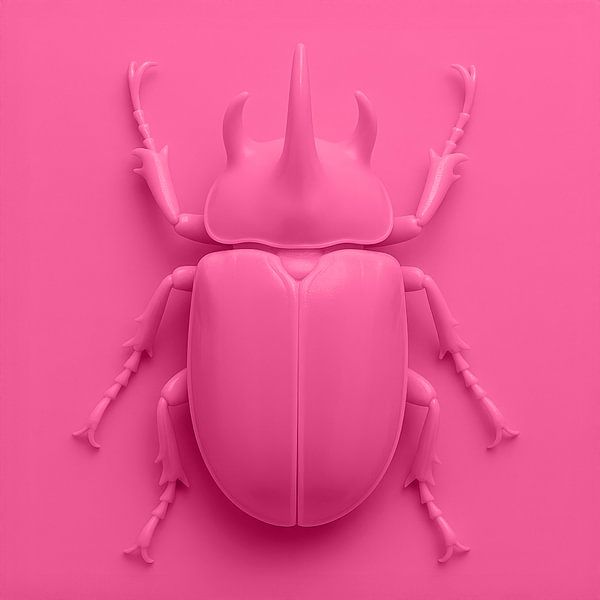 Beetle on Pink by Studio Slabamski