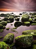 Groene chaos