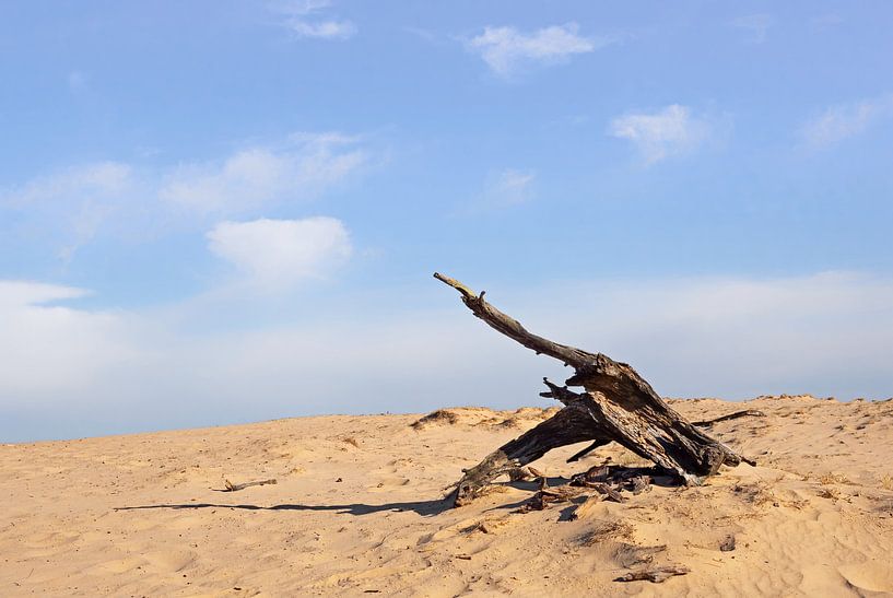 Sand by Maarten Kooij