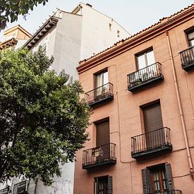 Bâtiment en terre cuite avec un arbre à Madrid, Espagne sur Photo Atelier