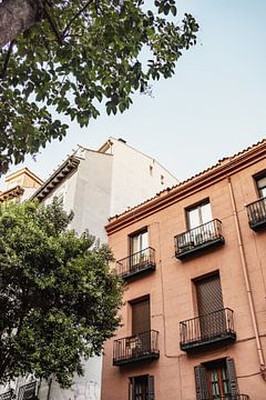 Terracotta gebouw met boom in Madrid, Spanje