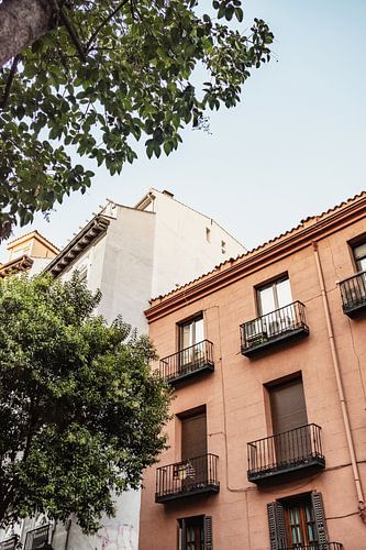 Terracotta building with tree in Madrid, Spain