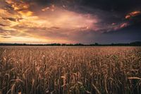 Storm clouds over the field