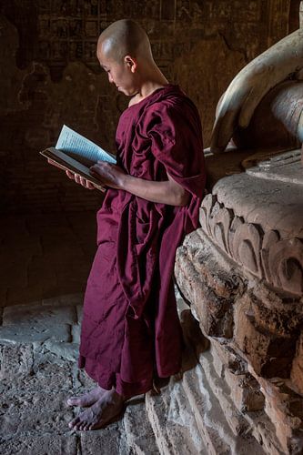 Jonge monnik leest in een tempel