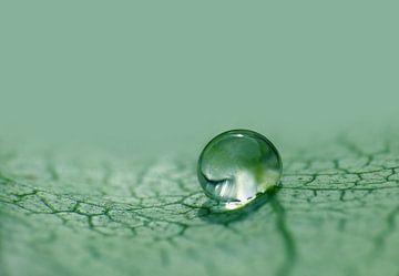 Just one Drop (Druppel in groen) van Caroline Lichthart