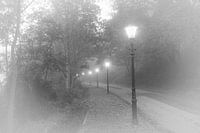 Away with classic street lights in the mist