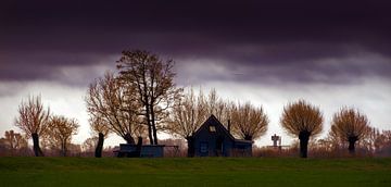 Sitebuorren van Harrie Muis