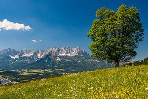 Kitzbüheler Alpen, Österreich