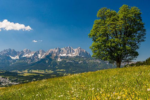 Kitzbüheler Alpen, Oostenrijk