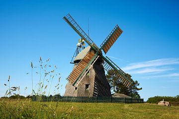 Windmühle auf der Insel Amrum von Reiner Würz / RWFotoArt