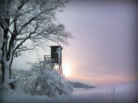 Augenblick von Vera Laake