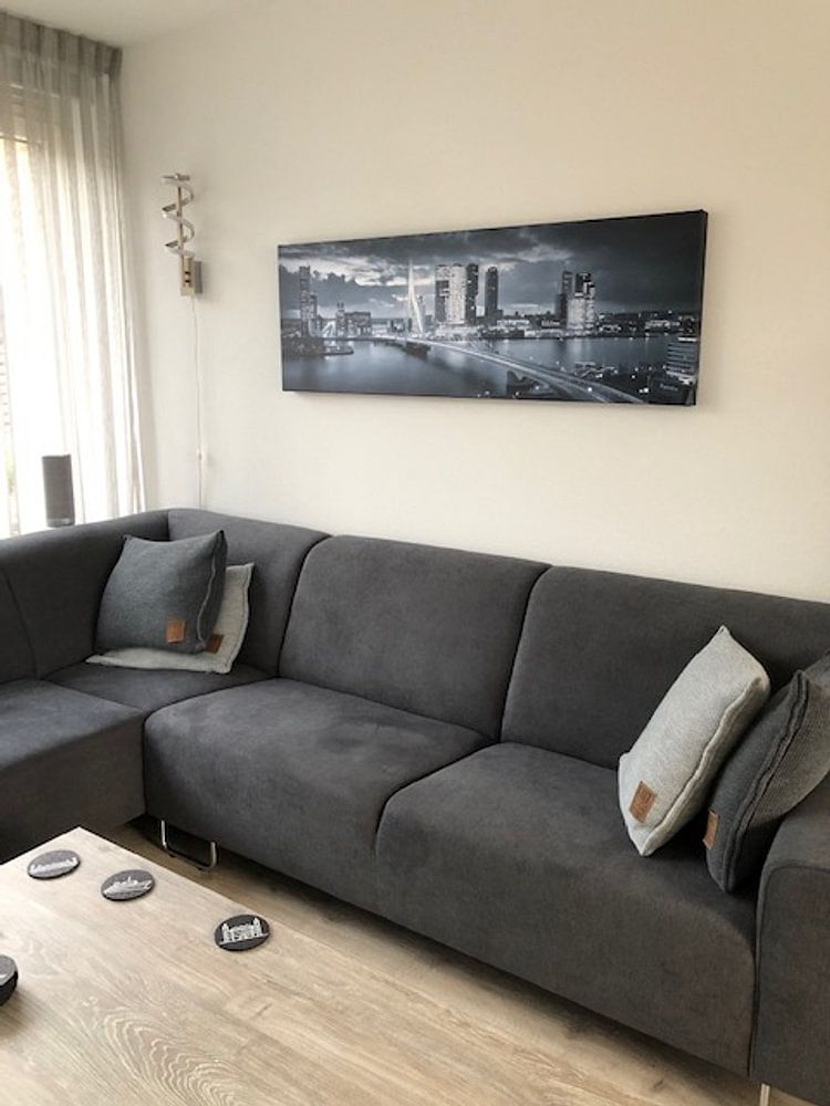 Skyline Pont Erasmus de Rotterdam - Gris métallique par Vincent Fennis