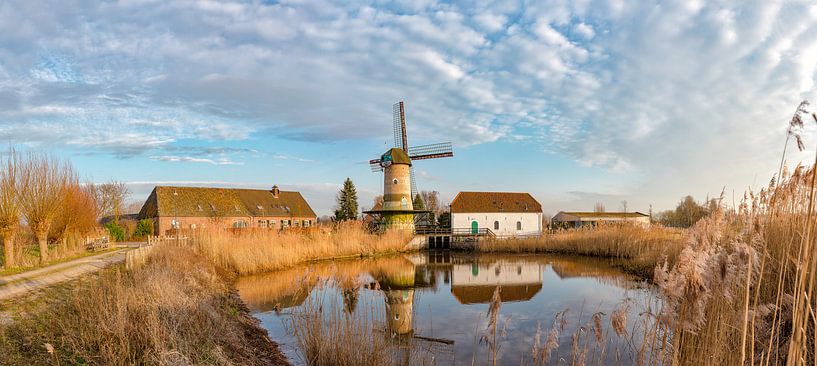 Moulin à vent et roue hydraulique combinés, De Kilsdonkse Molen, Veghel, Brabant septentrional, Pays par Rene van der Meer