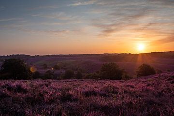 Sonnenaufgang auf der Posbank von Royvs Fotografie