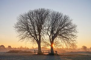 Landschaft mit Bäumen von Dirk van Egmond