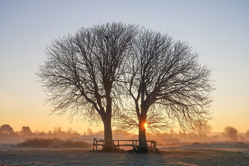 Landscape with trees by Dirk van Egmond