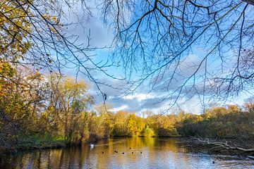 journée d'automne ensoleillée et fraîche avec un ciel bleu et des nuages surplombant un étang magnif sur Andrew Balcombe