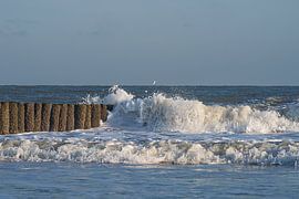 Natuurlijke rust en beweging aan de zonnige kust