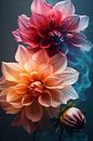 Color explosion of Dahlias ii by Studio BB thumbnail